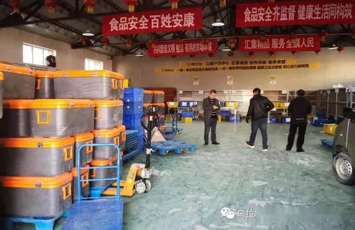 护航开学季 市场监管所强化校园食品安全与维修市场秩序